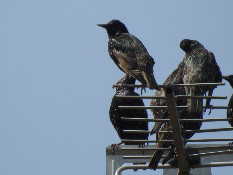 Seasonal Permit Requirements